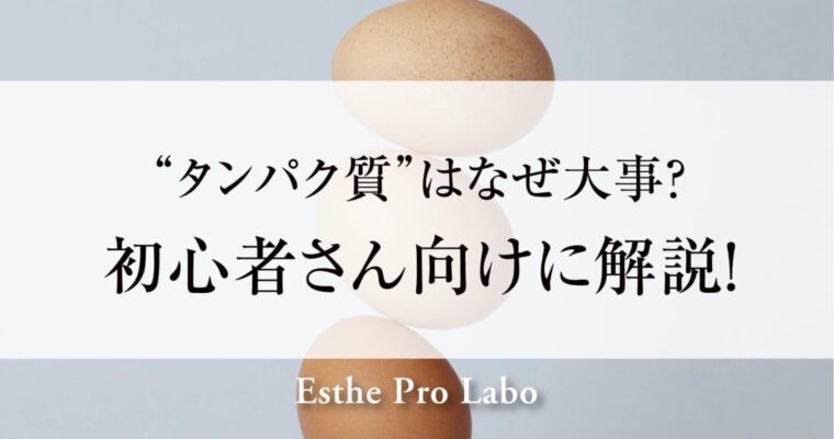 ”タンパク質”はなぜ大事？