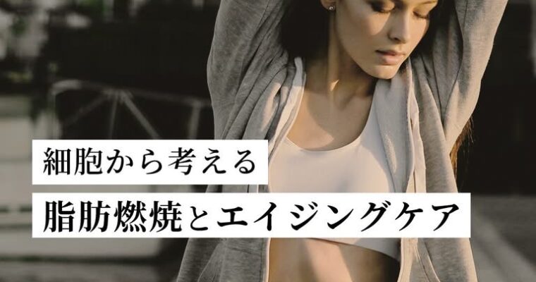 以前より痩せにくくなった❓